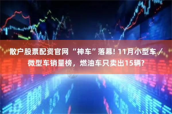 散户股票配资官网 “神车”落幕! 11月小型车／微型车销量榜，燃油车只卖出15辆?