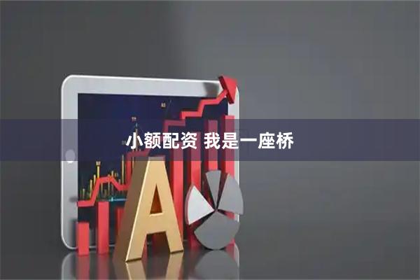 小额配资 我是一座桥
