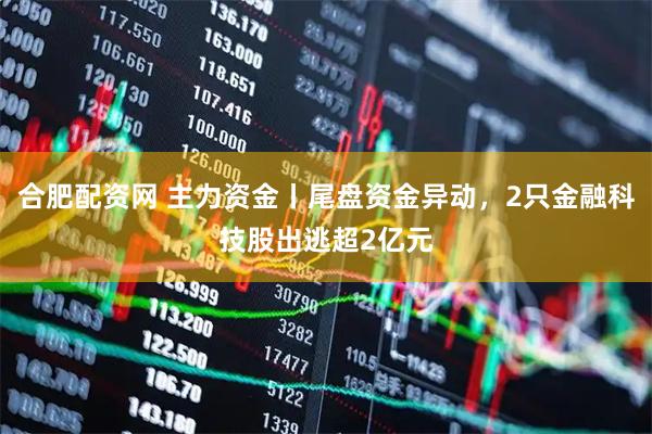 合肥配资网 主力资金丨尾盘资金异动，2只金融科技股出逃超2亿元