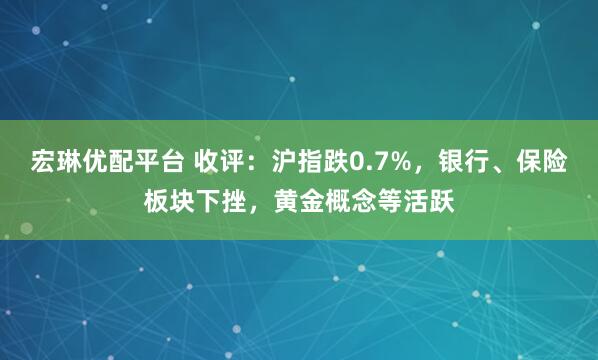 宏琳优配平台 收评：沪指跌0.7%，银行、保险板块下挫，黄金概念等活跃