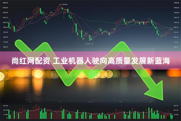 尚红网配资 工业机器人驶向高质量发展新蓝海