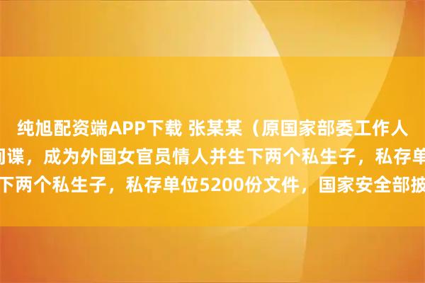 纯旭配资端APP下载 张某某（原国家部委工作人员），为外国政府充当间谍，成为外国女官员情人并生下两个私生子，私存单位5200份文件，国家安全部披露